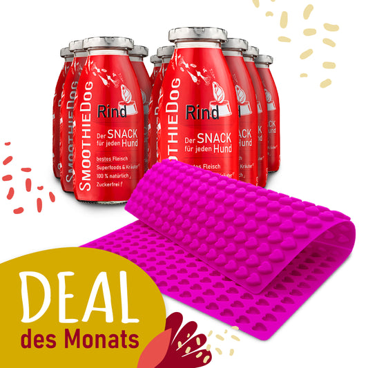 Deal des Monats Dezember